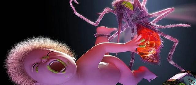 Po „Mosquito”, nowym albumie Yeah Yeah Yeahs, wciąż drżą mi kolana