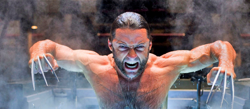 Wolverine