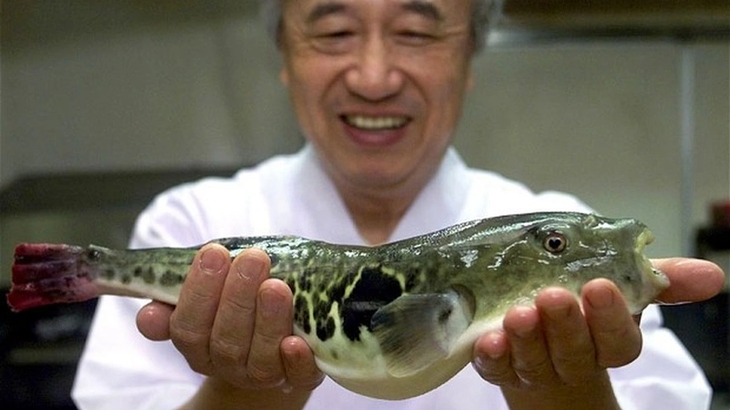 fugu