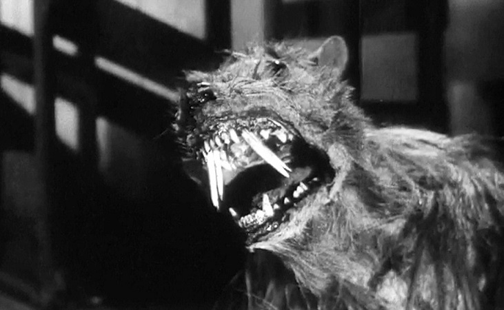 a Killer Shrews 2