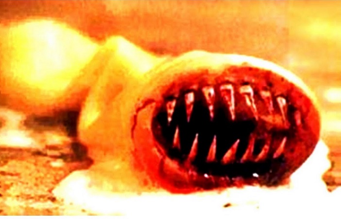 a killer condom