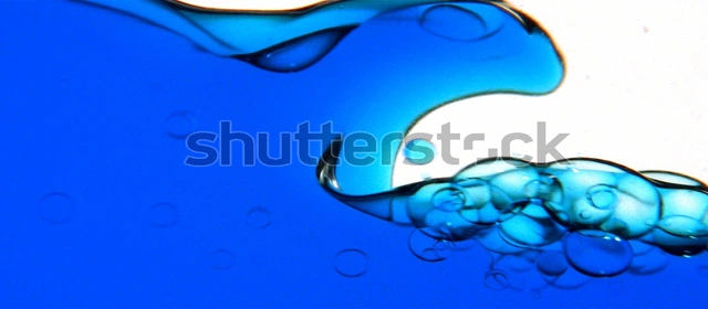 Shutterstock wchodzi na rynek muzyczny