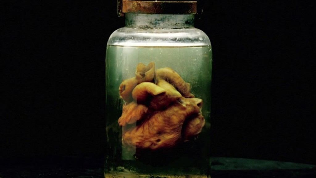 the strain 2