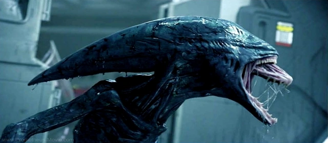 Brak Obcego w Prometheus 2 to najlepsza decyzja Ridley’a Scotta
