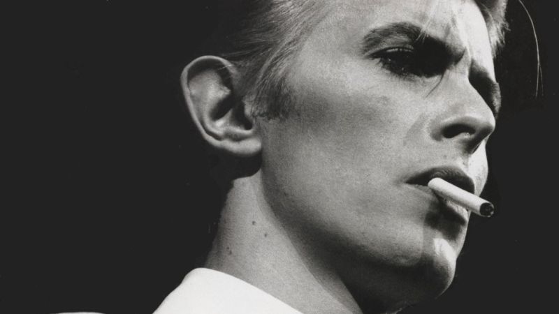 thin white duke