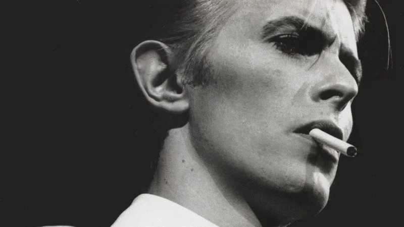 thin white duke