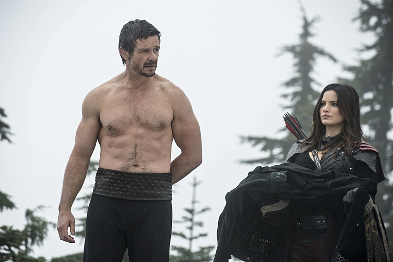 arrow 6 