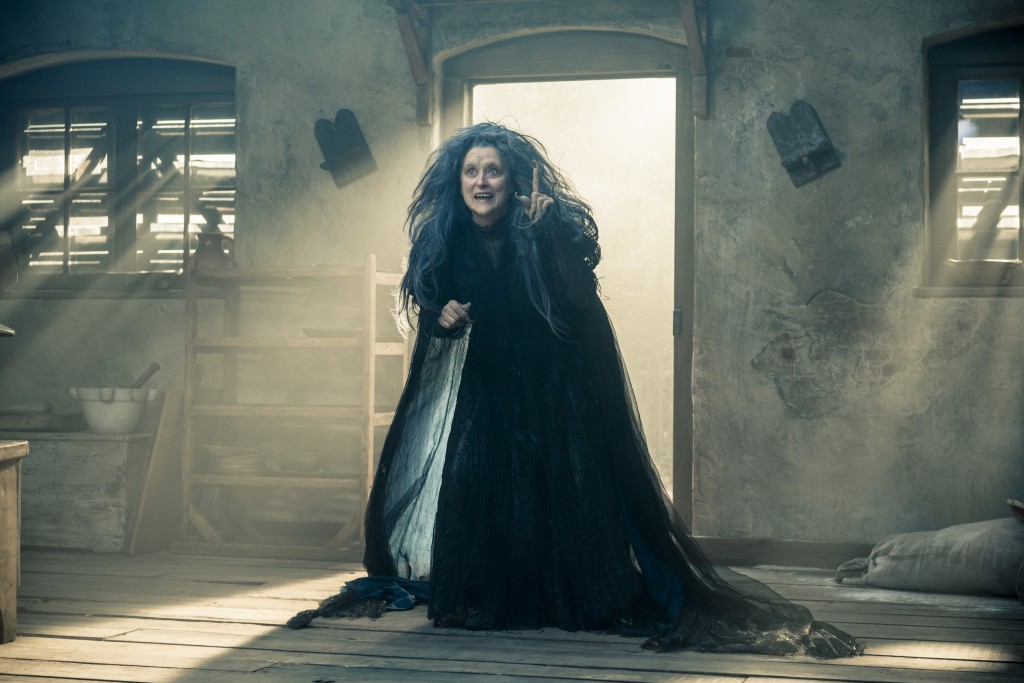 INTO THE WOODS