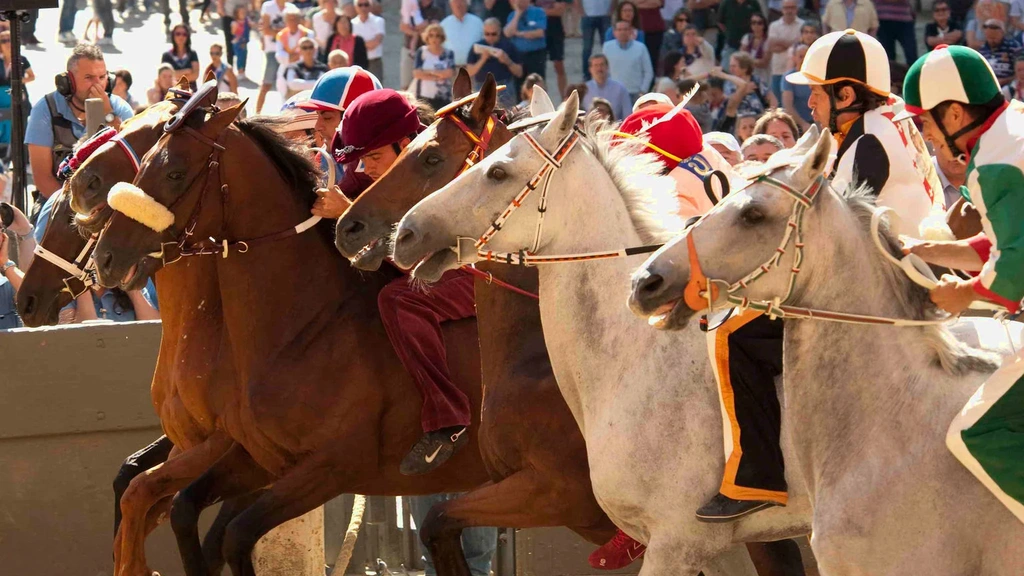 palio class="wp-image-70207" 
