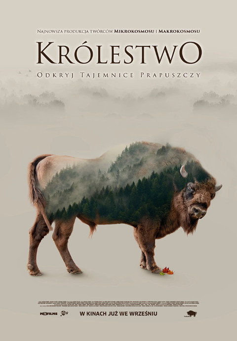 krolestwo_plakat class="wp-image-74163" 