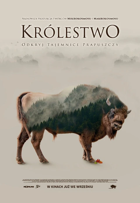 krolestwo_plakat class="wp-image-74163" 
