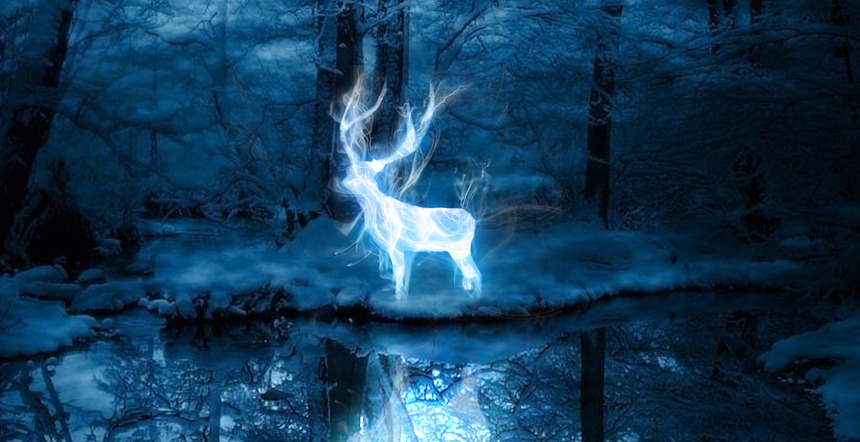 patronus-2 class="wp-image-74499" 