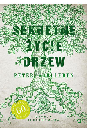 sekretne-zycie-drzew class="wp-image-77261" 