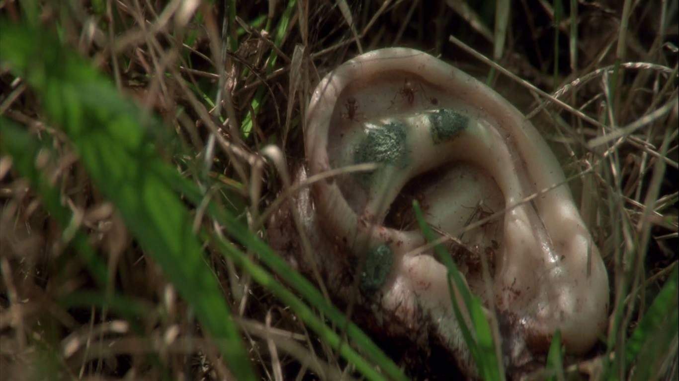Ucho znalezione przez głownego bohatera na samym początku filmu Blue Velvet