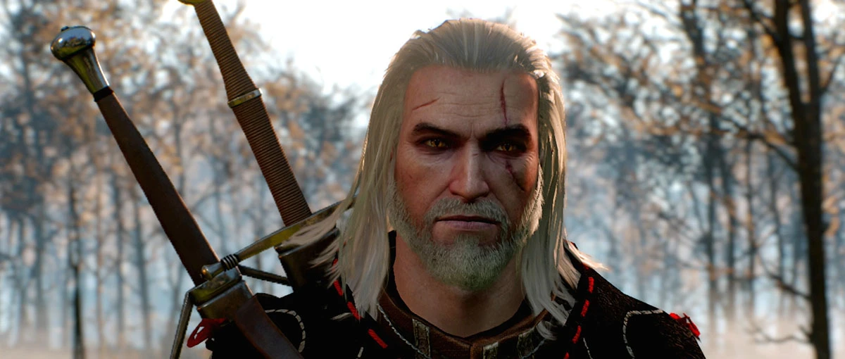 The Witcher