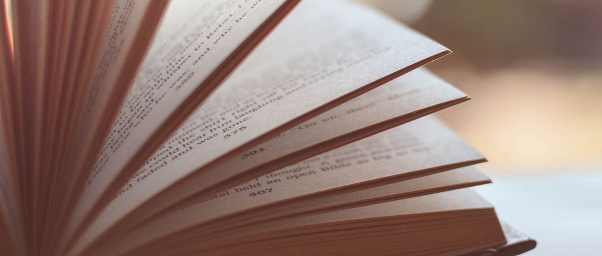 adaptacje na bookrage'u