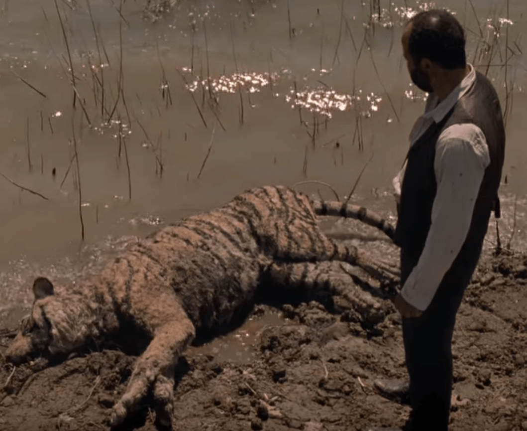 westworld 2 class="wp-image-90300" 
