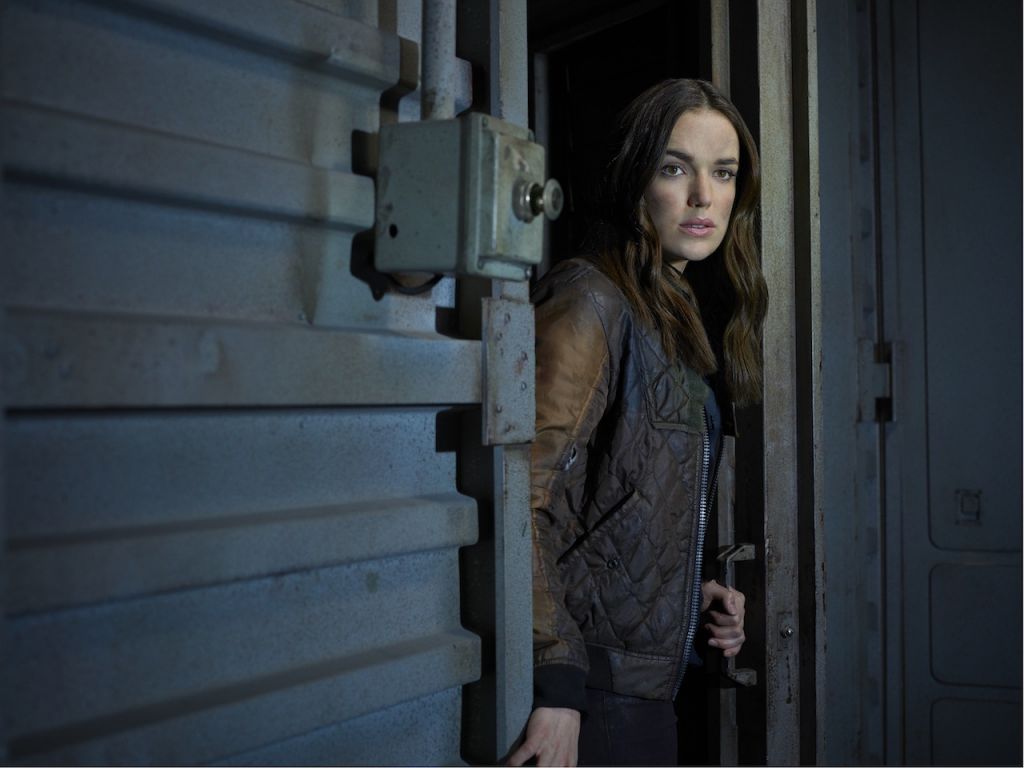 MARVEL'S AGENTS OF S.H.I.E.L.D. class="wp-image-113448" 