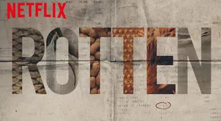 Rotten - nowy serial Netfliksa o żywności miał szokować, ale nie wpłynie na zmianę tego, co jesz