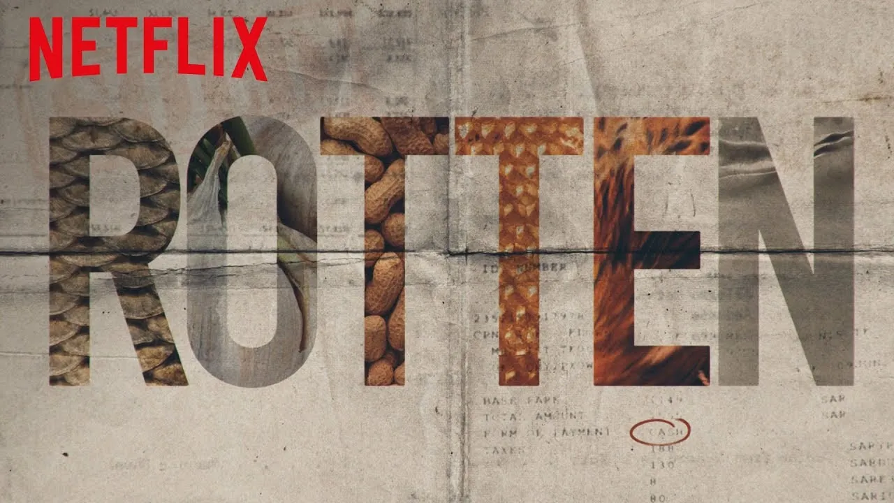 rotten - serial netflix - recenzja