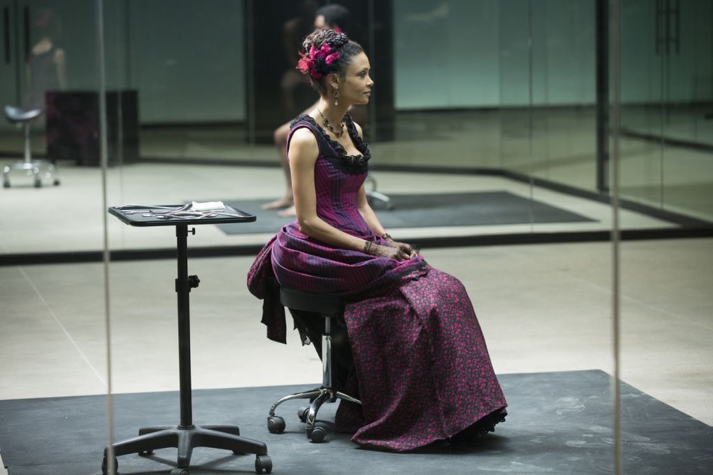 westworld pierwszy sezon fabuła class="wp-image-155751" 