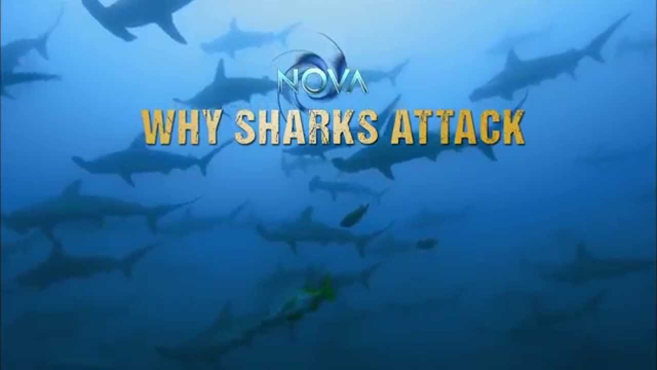  class="wp-image-167719" 