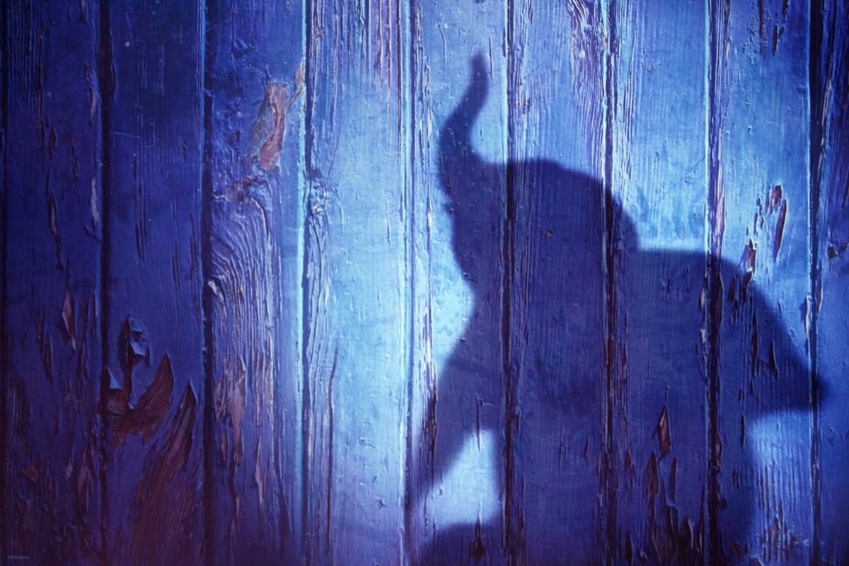Dumbo zajawka