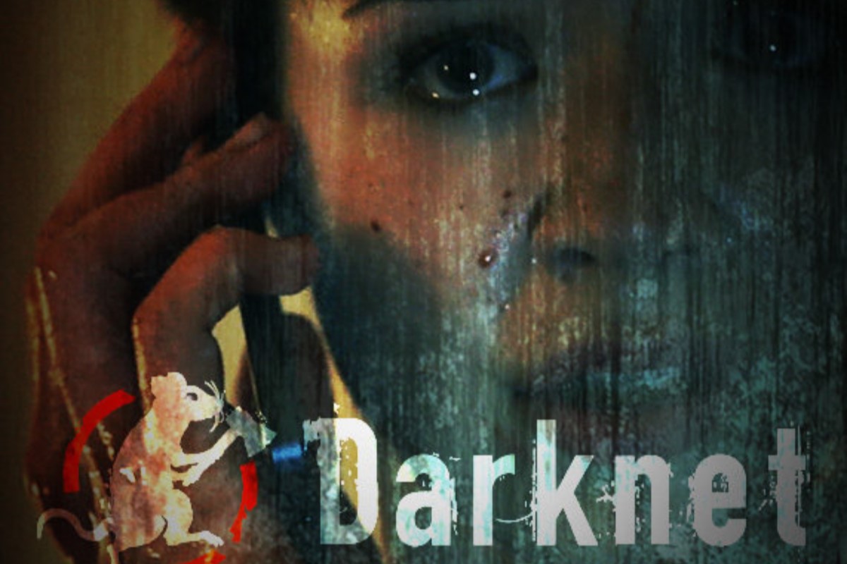 Darknet recenzja