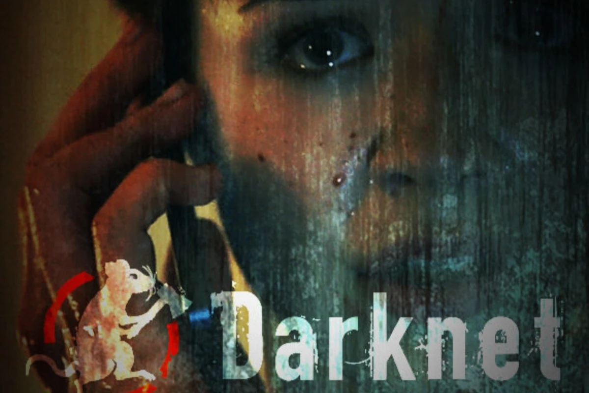 Darknet recenzja