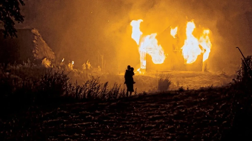 wolyn film