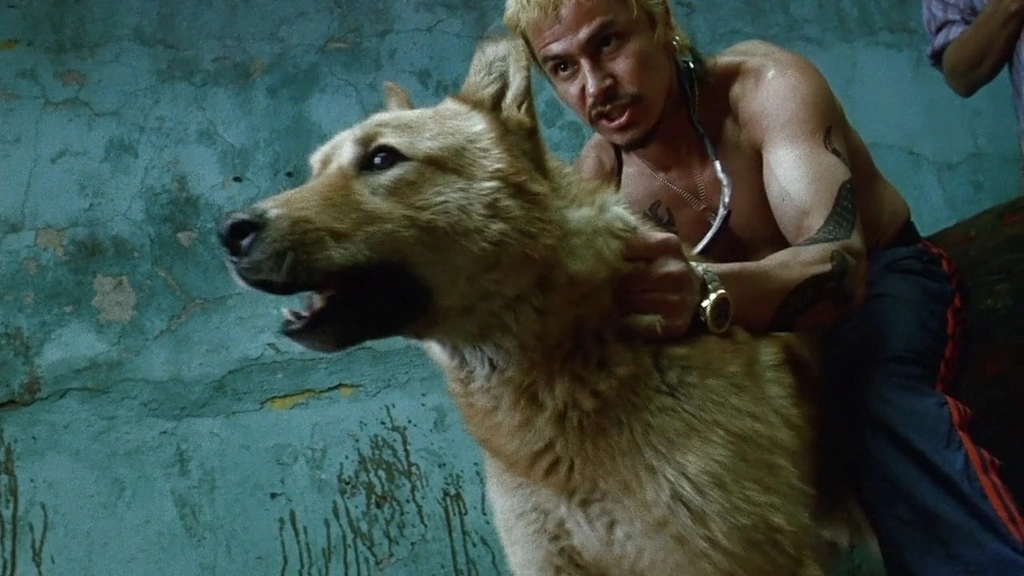 amores perros 2000 
