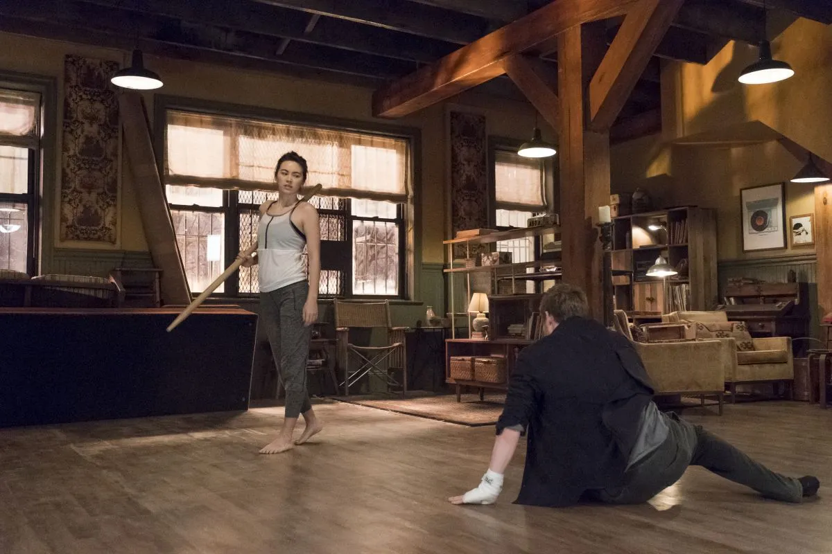 Iron fist