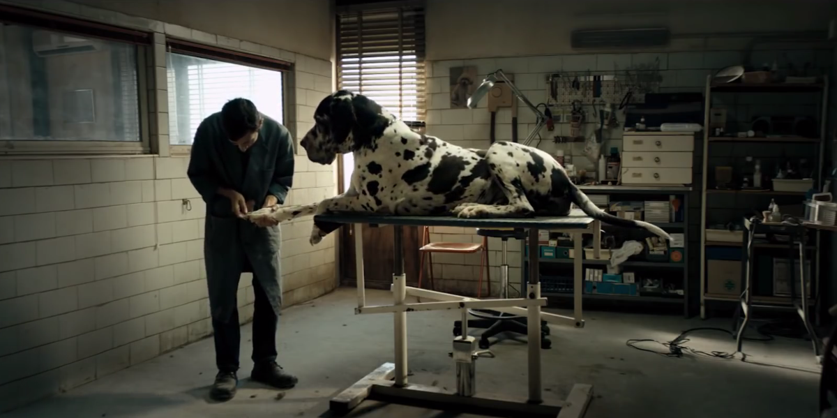 dogman
