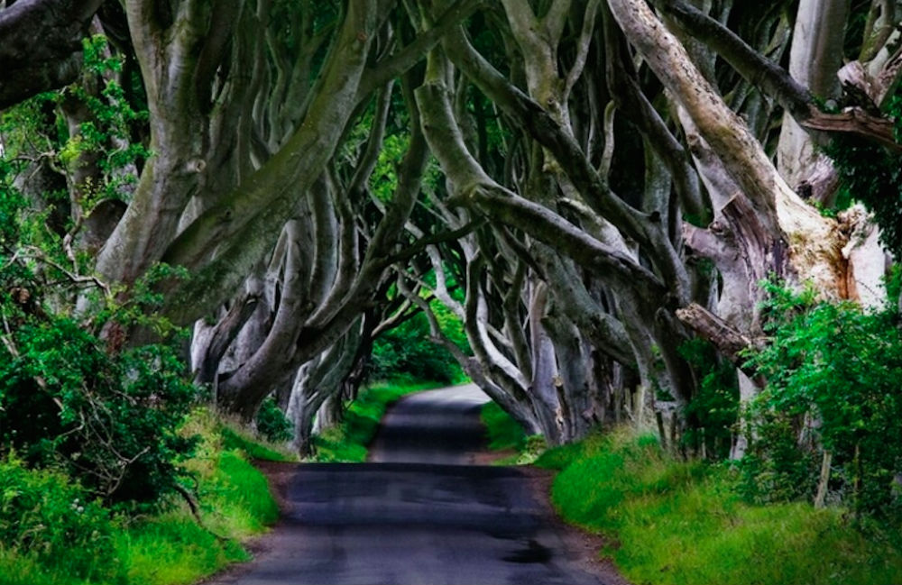 gra o tron dark hedges class="wp-image-206326" 