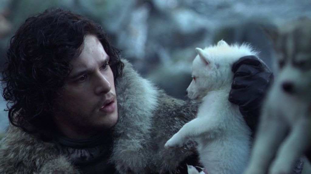 gra o tron jon snow ghost duch wilkor 2 