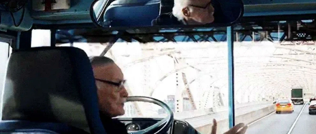 stan lee avengers infinity war
