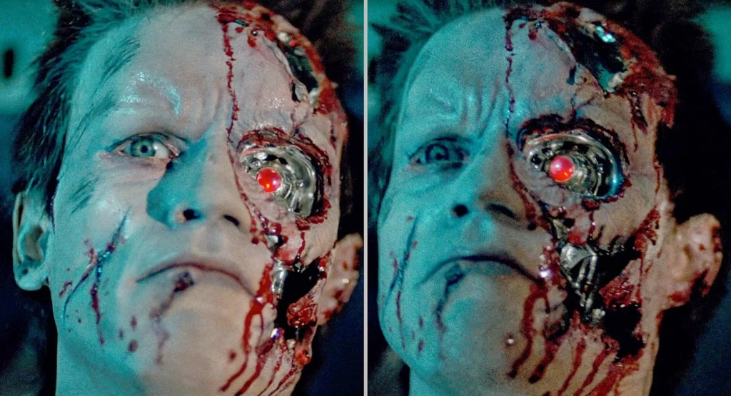 terminator class="wp-image-223946"