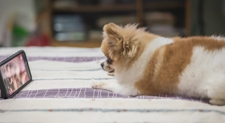 polskie seriale 2018