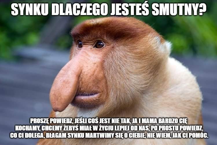  class="wp-image-287600" 