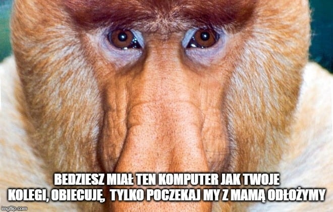  class="wp-image-287597" 