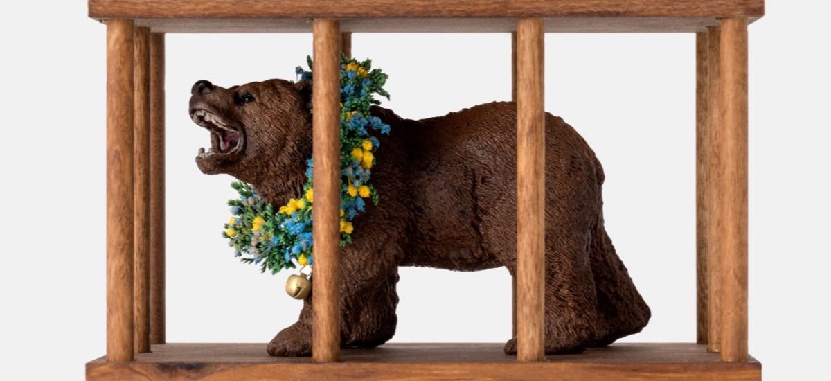 Midsommar. W biały dzień. Niedźwiedź w klatce