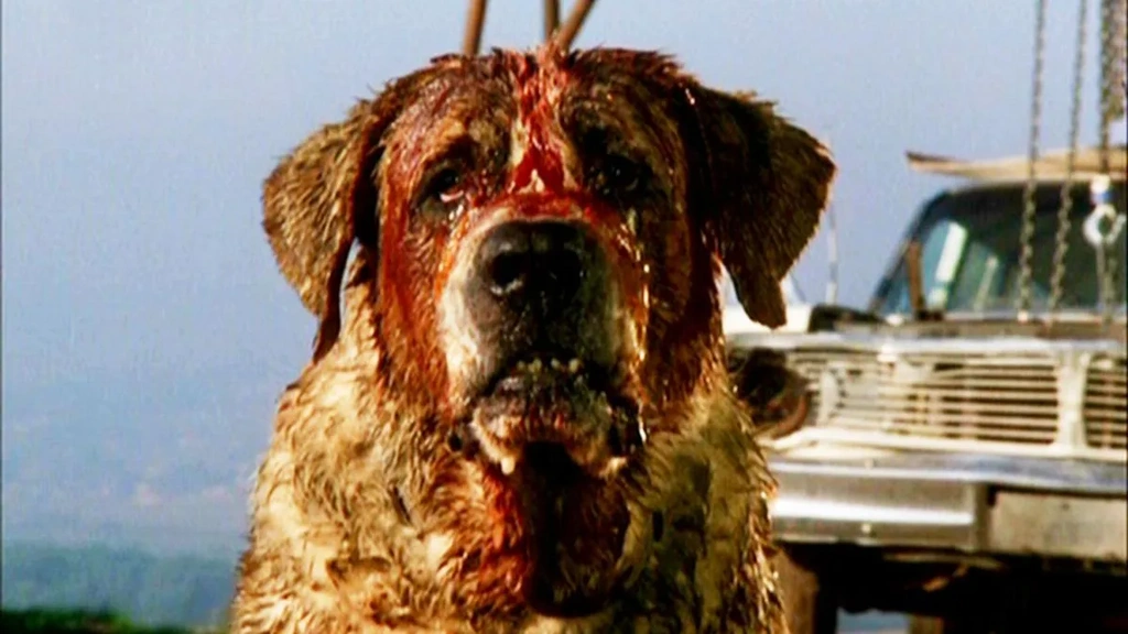 cujo stephen king