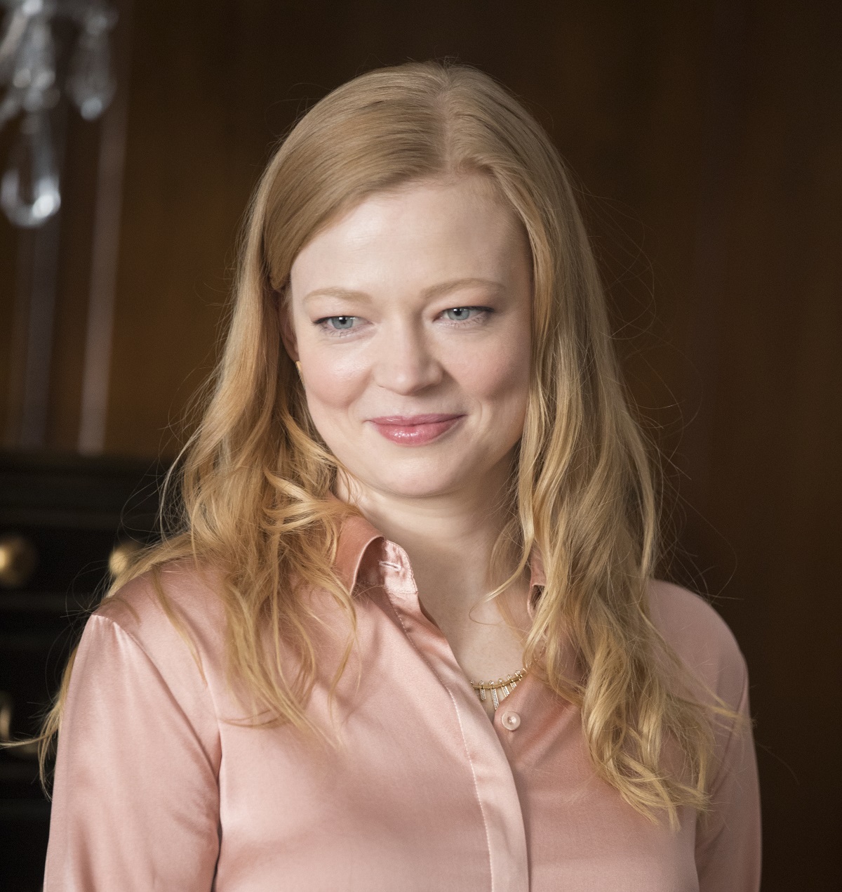 sarah snook sukcejsa class="wp-image-317220" 