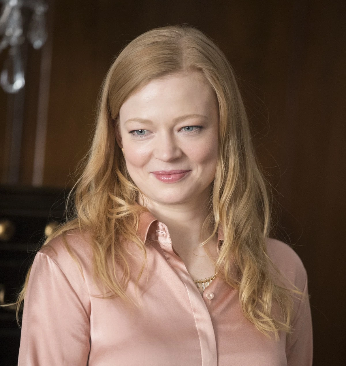 sarah snook sukcejsa class="wp-image-317220"