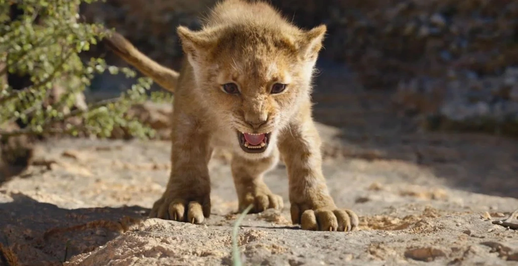 krol lew simba 2019 