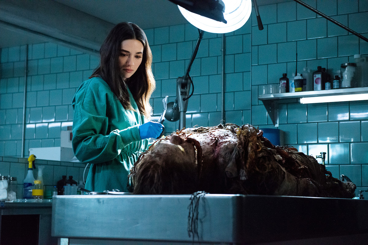 swamp thing serial dc potwór z bagien hbo go recenzja class="wp-image-341096" 