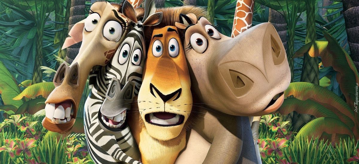 Madagaskar - kadr z filmu