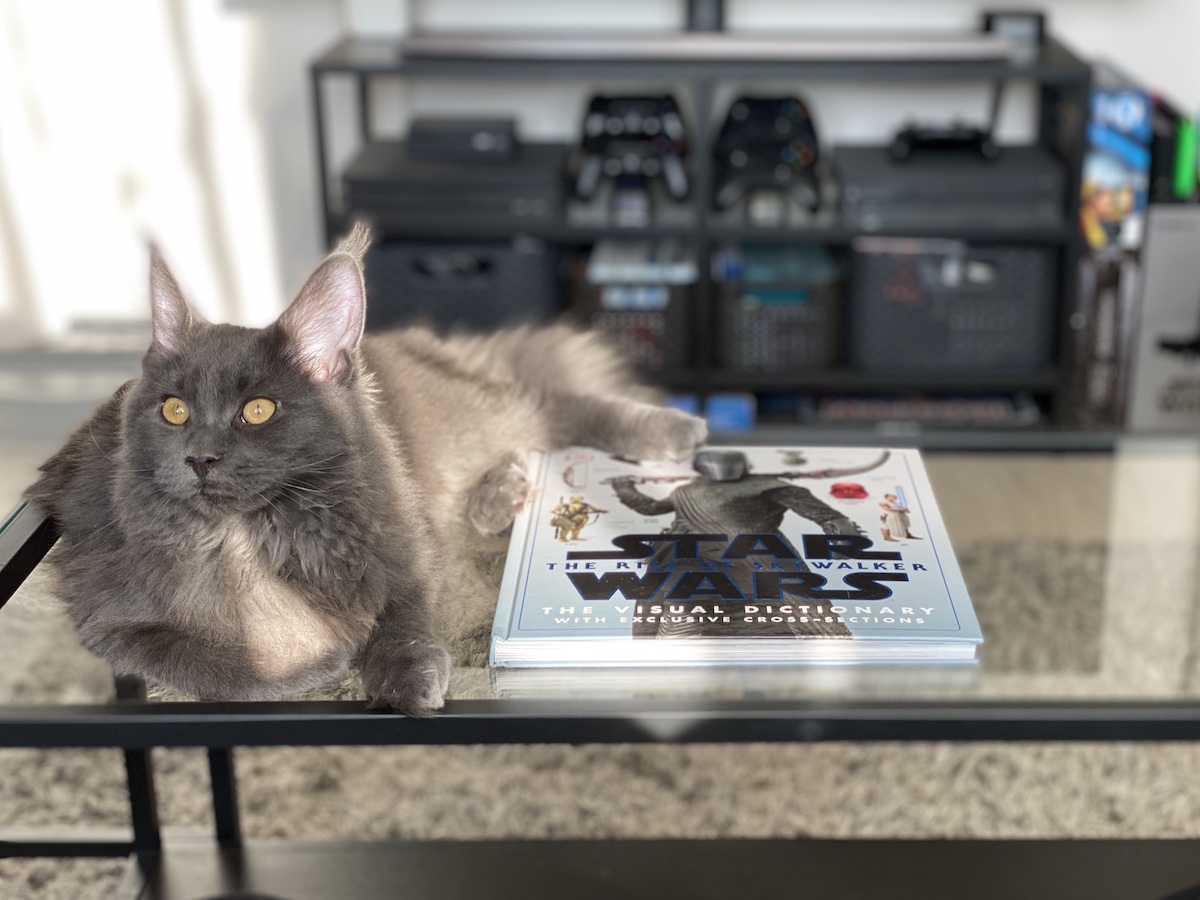 Star Wars The Rise of the Skywalker The Visual Dictionary