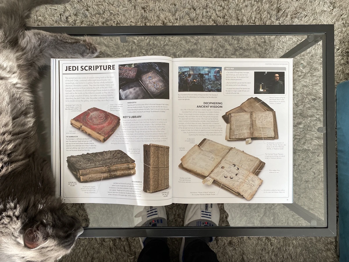Star Wars The Rise of the Skywalker The Visual Dictionary class="wp-image-368274"