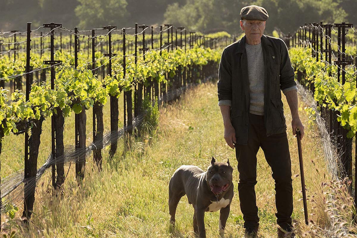 star trek picard recenzja serial patrick stewart jean-luc class="wp-image-368235" 